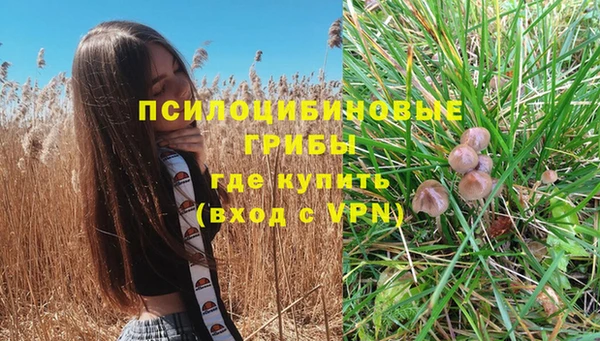 МДПВ Абдулино